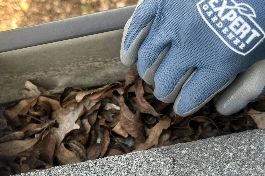 Gutter Cleaning Lenox