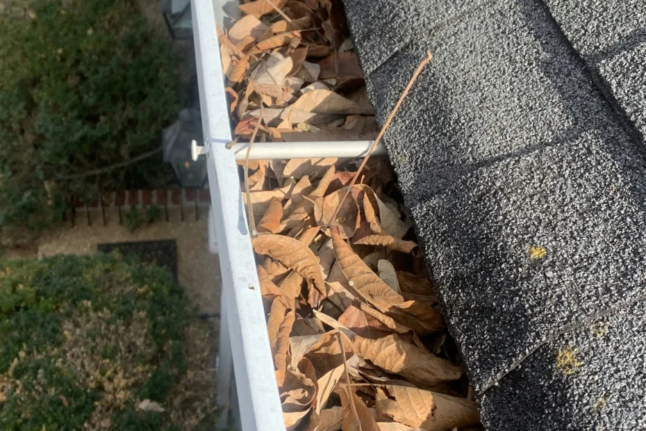 Gutter Cleaning Lenox