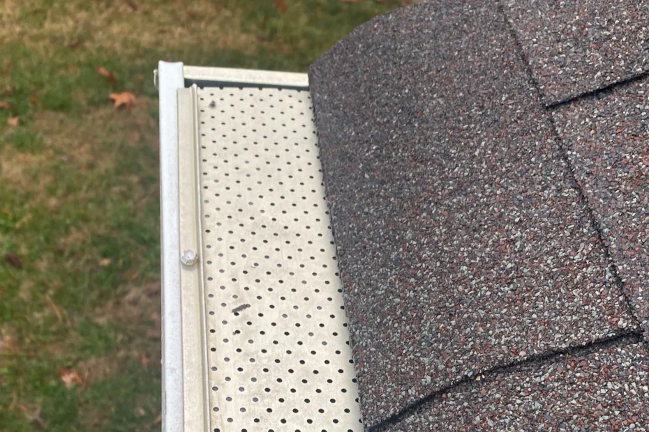 Gutter Cleaning Lenox